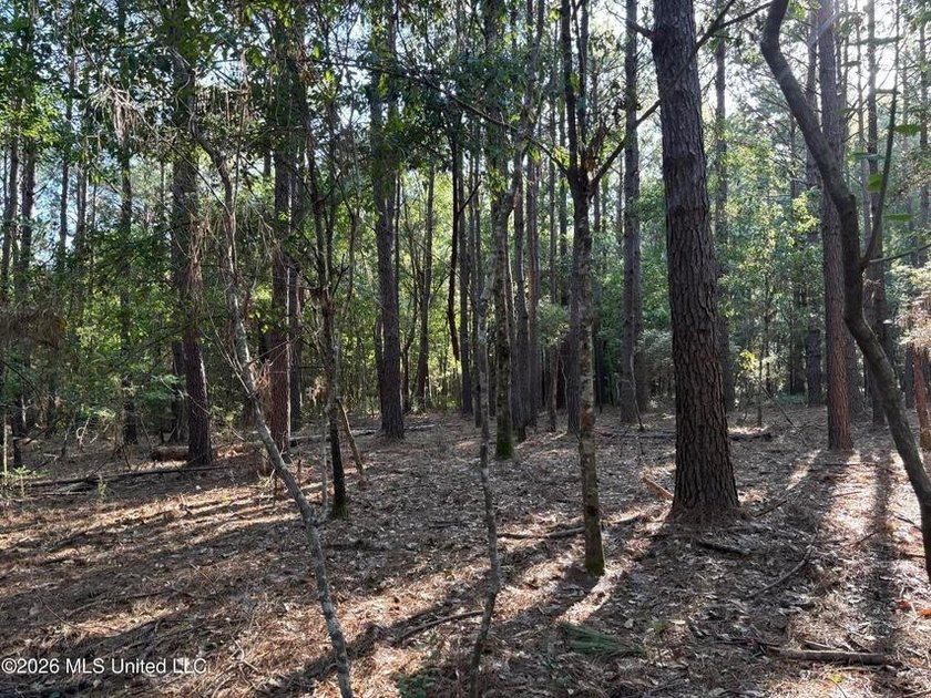 This 30-acre tract in Harrison County, Mississippi, represents a - photo 21