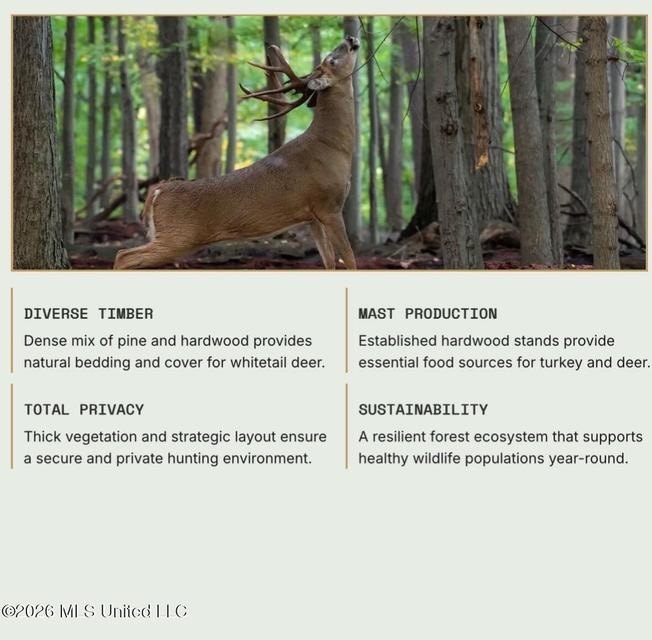 This 30-acre tract in Harrison County, Mississippi, represents a - photo 23