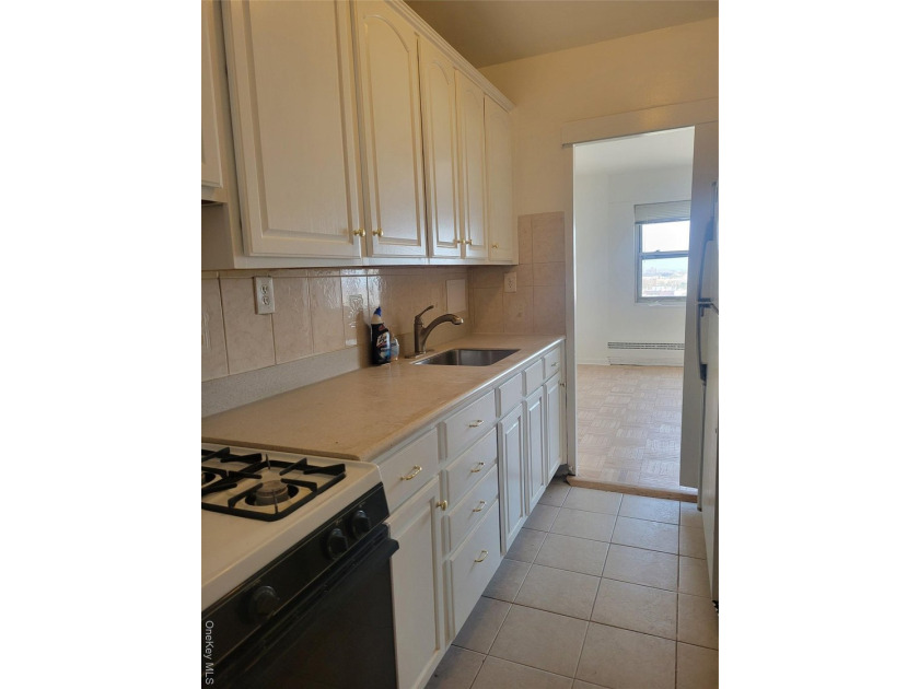 THIS UNIT HAS A SPECTACULAR VIEW OF THE CITY SKYLINE, LOCATED IN - photo 7