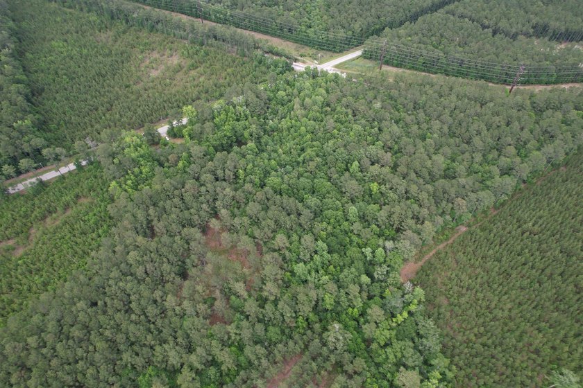 17.80 acres located on Pennyroyal Road in Georgetown offering - photo 11