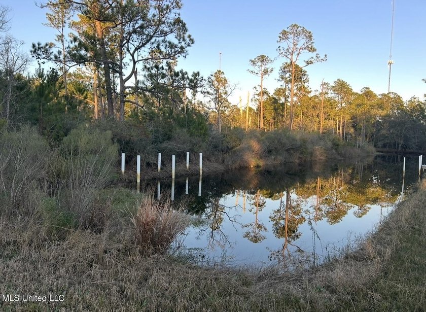Cleared Double Lot in Shoreline Park - Ready to Build! Build - photo 3