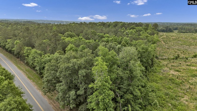 Wooded, undeveloped tract of land fronting Dominion fringe land - photo 3