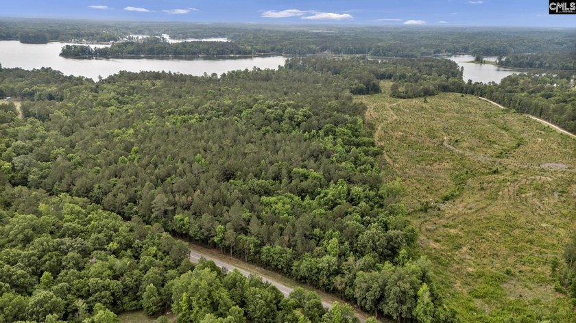 Wooded, undeveloped tract of land fronting Dominion fringe land - photo 4