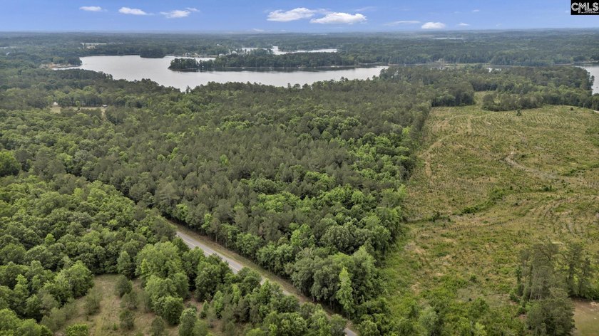 Wooded, undeveloped tract of land fronting Dominion fringe land - photo 5
