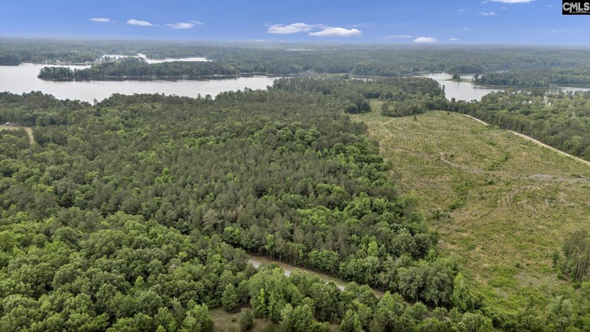 Wooded, undeveloped tract of land fronting Dominion fringe land - photo 6