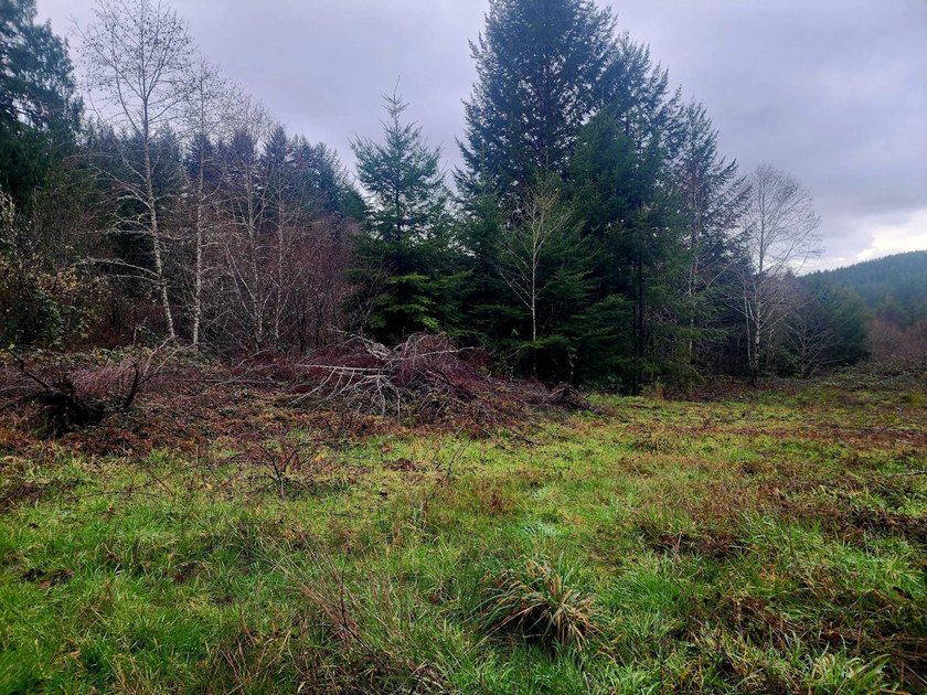 Secluded 33.55 Acre Homestead with Creek Frontage steps away - photo 12