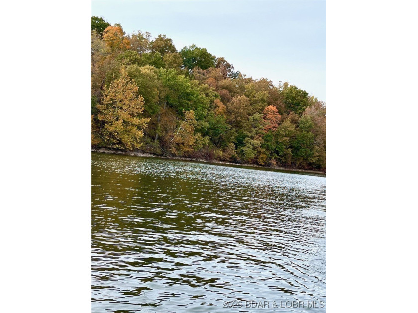 Stunning 100-foot lakefront lot with breathtaking, miles-long - photo 14
