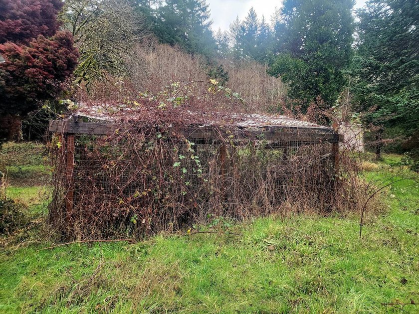 Secluded 33.55 Acre Homestead with Creek Frontage steps away - photo 16