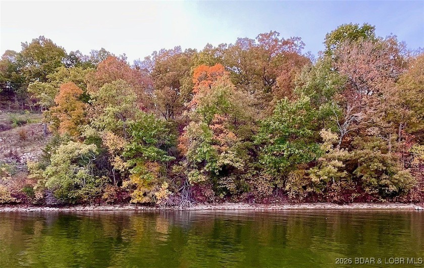 Stunning 100-foot lakefront lot with breathtaking, miles-long - photo 17