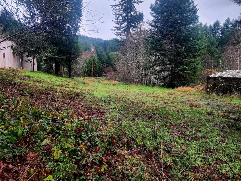 Secluded 33.55 Acre Homestead with Creek Frontage steps away - photo 19