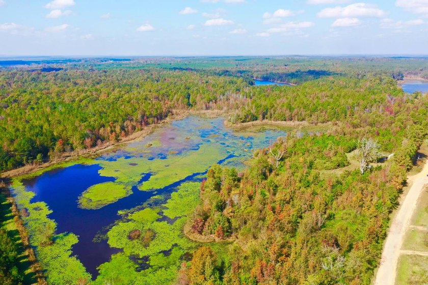 A hunter and fisherman's paradise!! Located in Choctaw County - photo 22