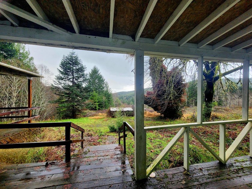 Secluded 33.55 Acre Homestead with Creek Frontage steps away - photo 29