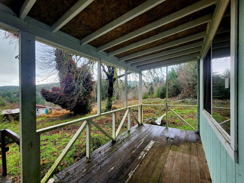Secluded 33.55 Acre Homestead with Creek Frontage steps away - photo 30