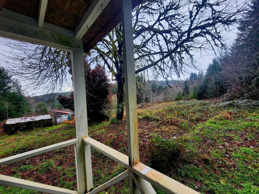 Secluded 33.55 Acre Homestead with Creek Frontage steps away - photo 31