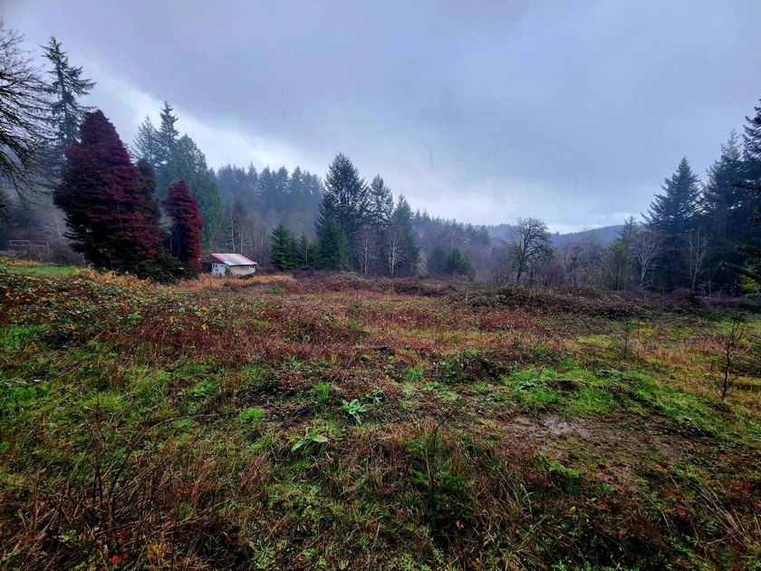 Secluded 33.55 Acre Homestead with Creek Frontage steps away - photo 33