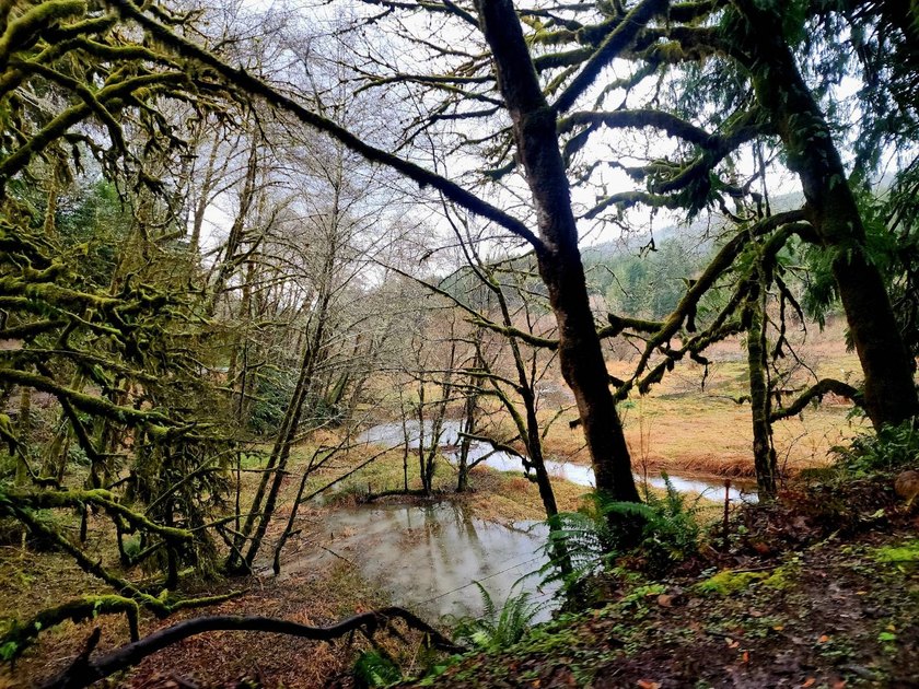 Secluded 33.55 Acre Homestead with Creek Frontage steps away - photo 38