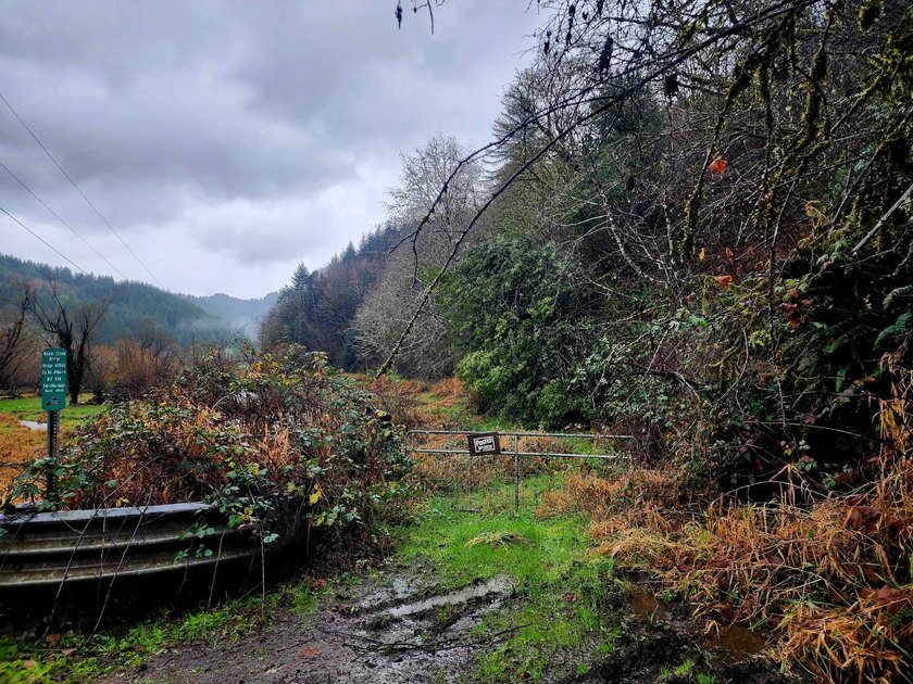 Secluded 33.55 Acre Homestead with Creek Frontage steps away - photo 45