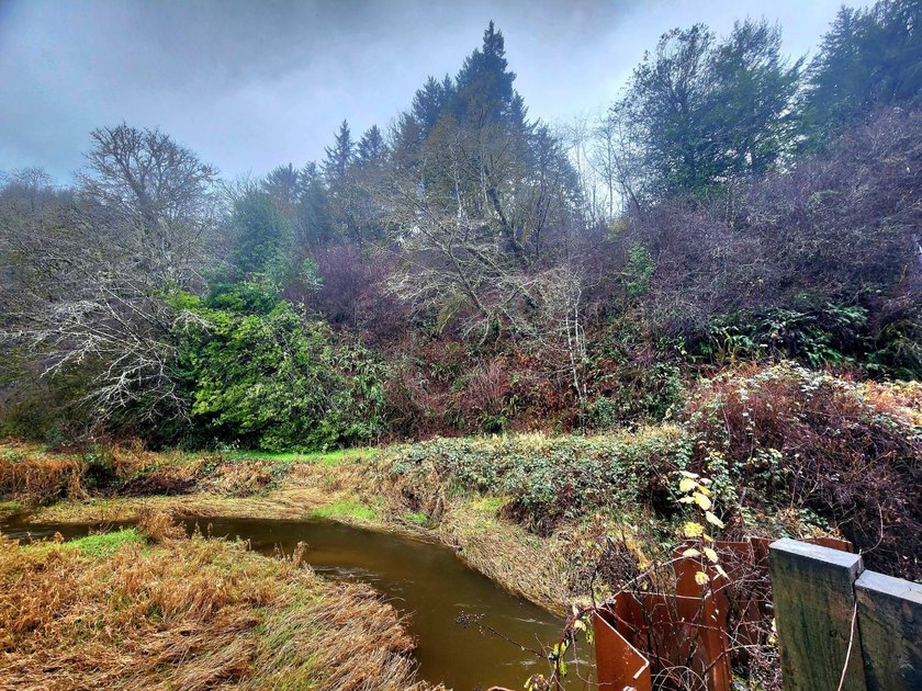 Secluded 33.55 Acre Homestead with Creek Frontage steps away - photo 48