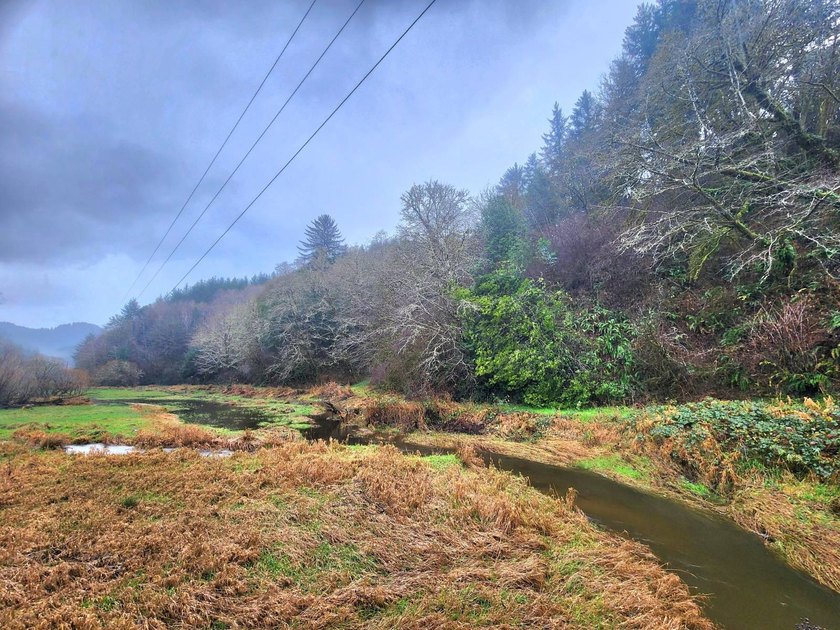 Secluded 33.55 Acre Homestead with Creek Frontage steps away - photo 49