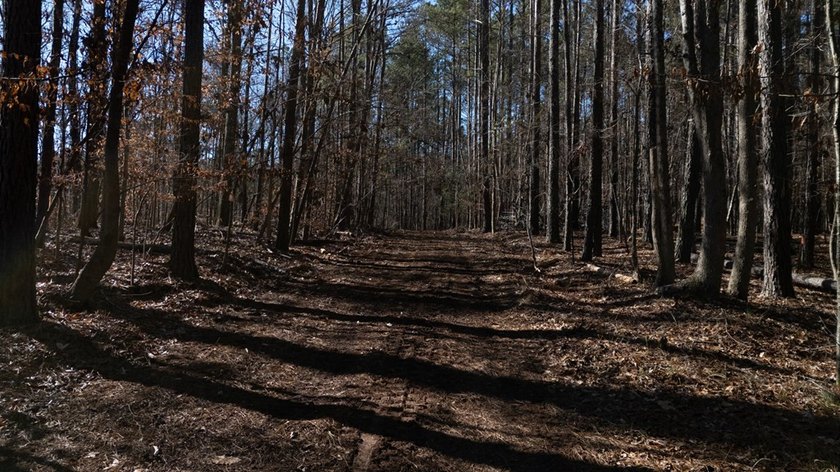 Prime 14.65-Acre Estate or Development Opportunity in Harborside - photo 4