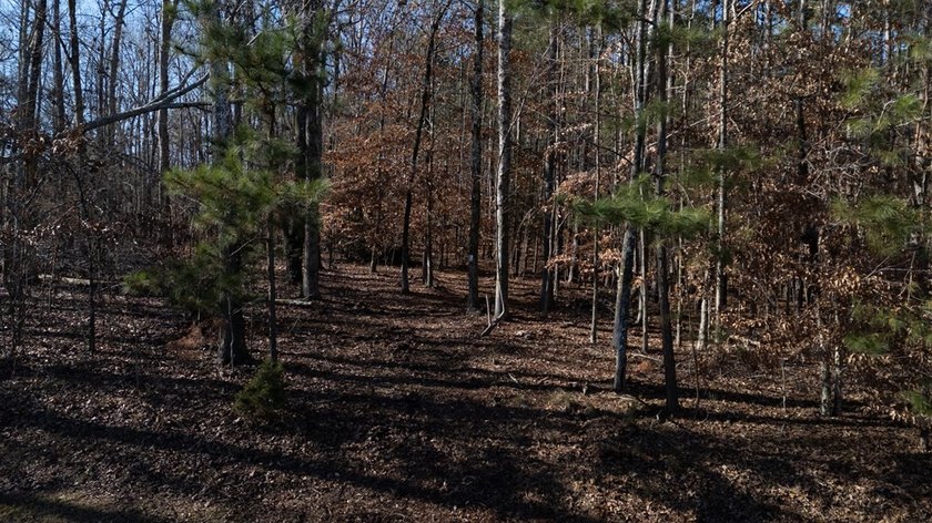Prime 14.65-Acre Estate or Development Opportunity in Harborside - photo 6