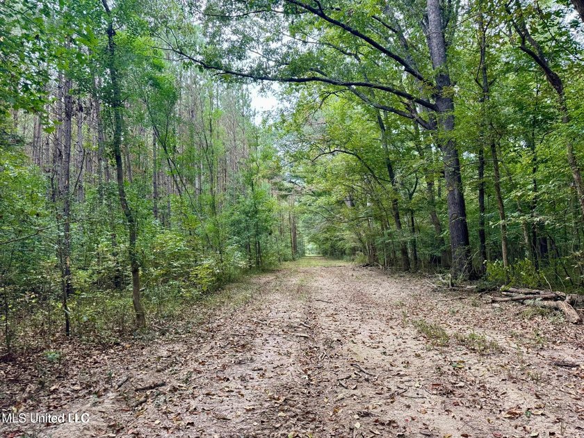 Wait, what?! Yep... this is a rare opportunity to own 102 acres - photo 2