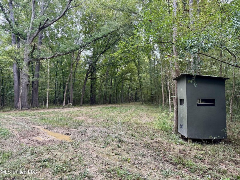 Wait, what?! Yep... this is a rare opportunity to own 102 acres - photo 5