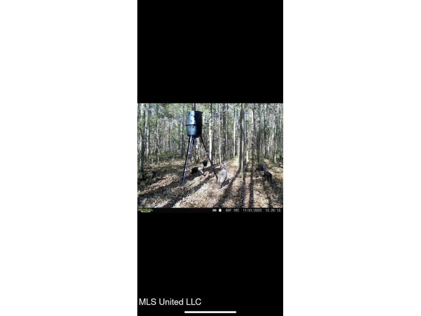 Wait, what?! Yep... this is a rare opportunity to own 102 acres - photo 8