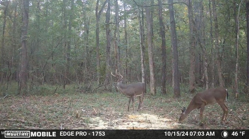 Wait, what?! Yep... this is a rare opportunity to own 102 acres - photo 10