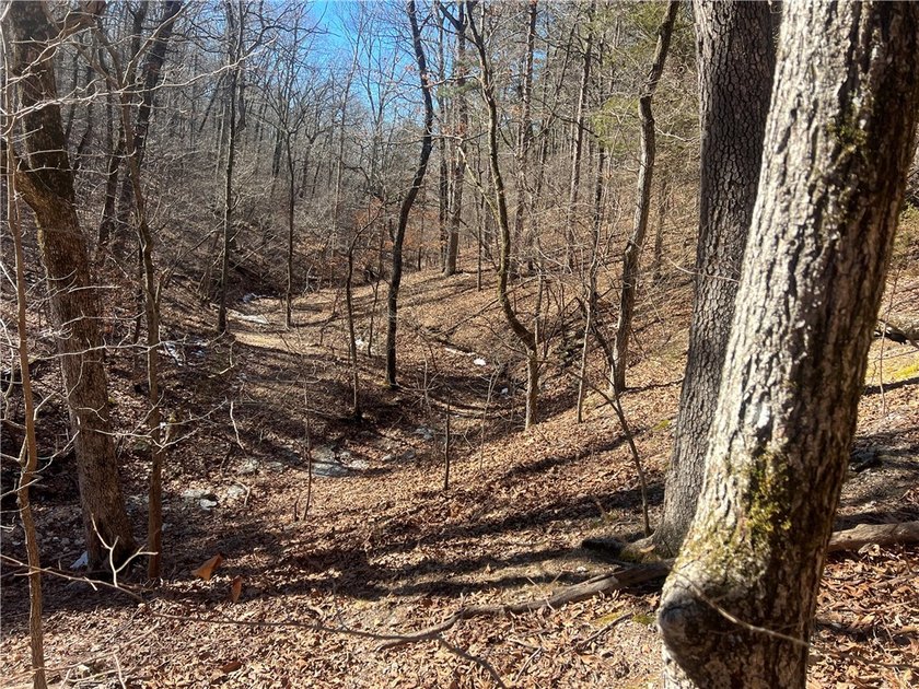 Come enjoy 21.9 +/- acres located near Beaver Lake. This - photo 8