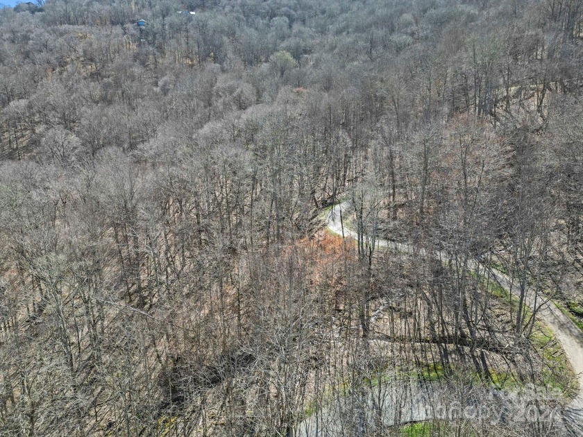 Double Lot on Chestnut Village which is a delightful street w/in - photo 9