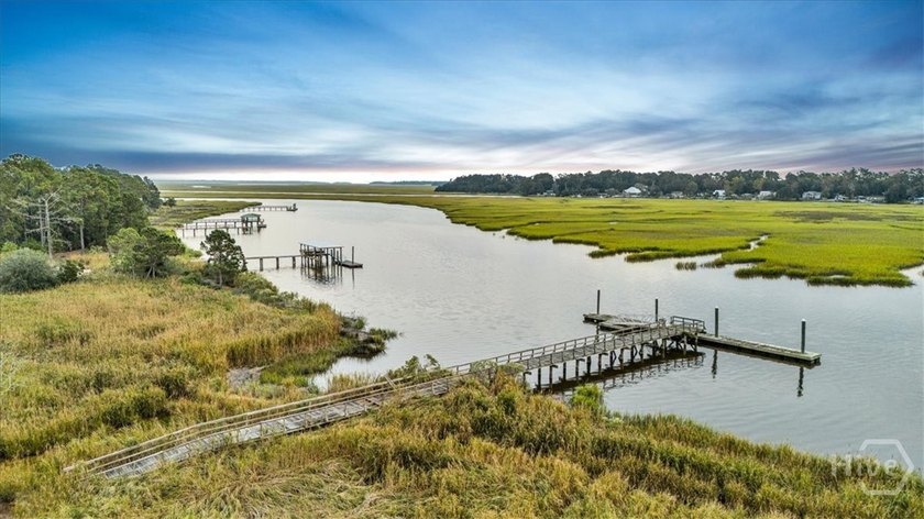 Welcome to Dolphin Island Community. Here's a Great Opportunity - photo 8