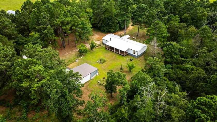 Tucked away among nearly 39 acres of towering timber, this East - photo 37