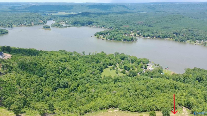 Build your dream home on these two adjoining lots totaling 2.49 - photo 11