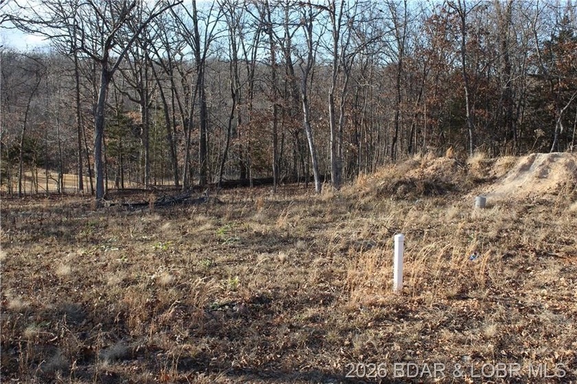 Discover this ready-to-build lot overlooking a peaceful pond - photo 12