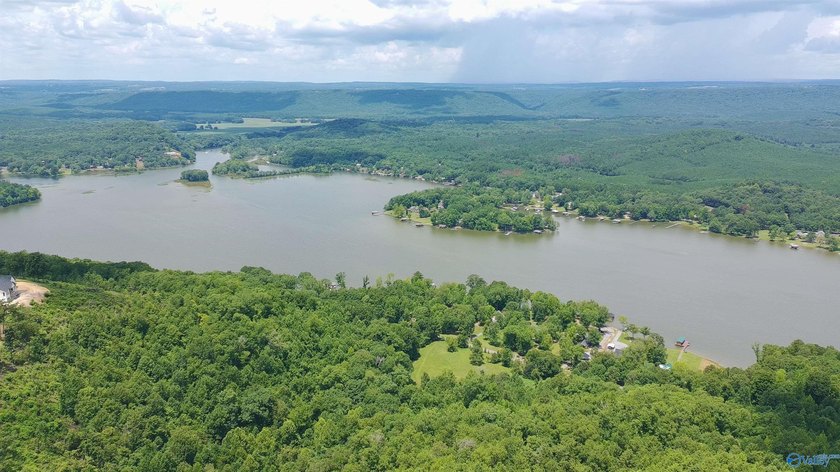 Build your dream home on these two adjoining lots totaling 2.49 - photo 12
