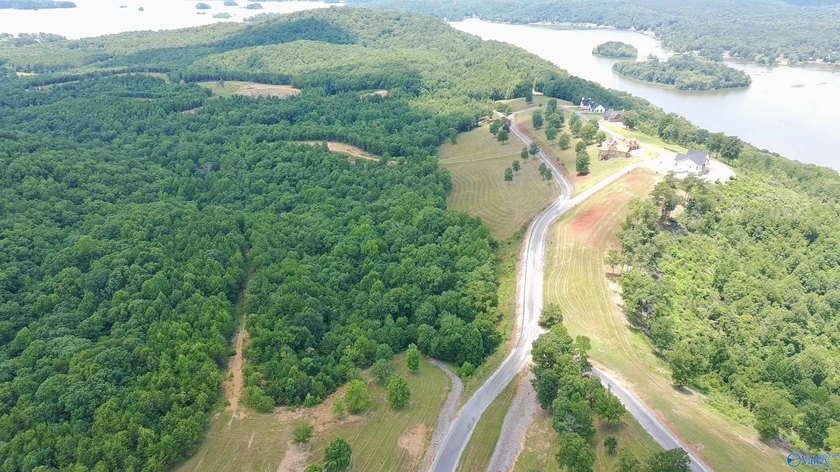 Build your dream home on these two adjoining lots totaling 2.49 - photo 14