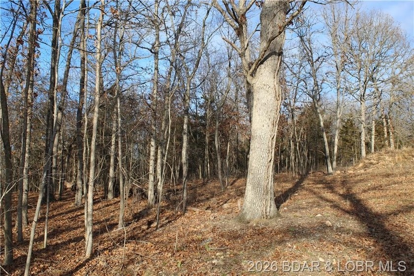 Discover this ready-to-build lot overlooking a peaceful pond - photo 15