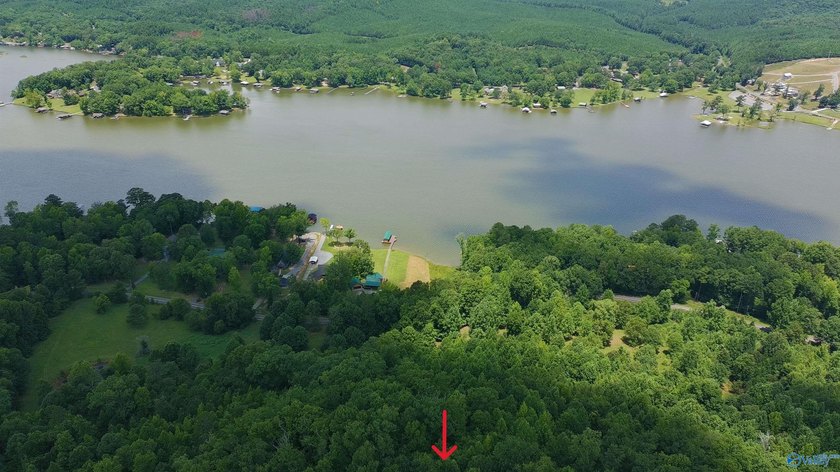 Build your dream home on these two adjoining lots totaling 2.49 - photo 16