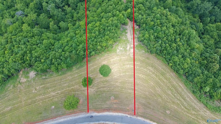 Build your dream home on these two adjoining lots totaling 2.49 - photo 17
