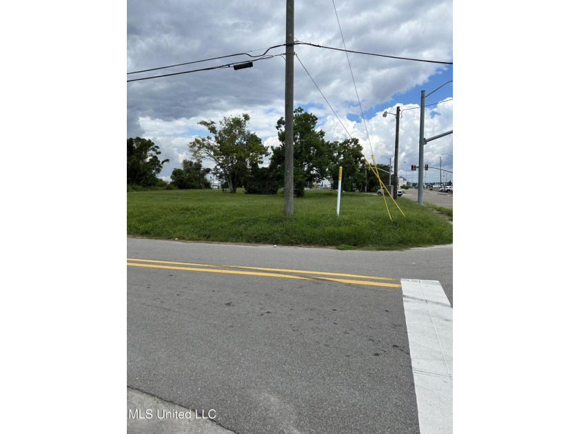 Multiple beautifully cleared, adjoining lots located with road - photo 3