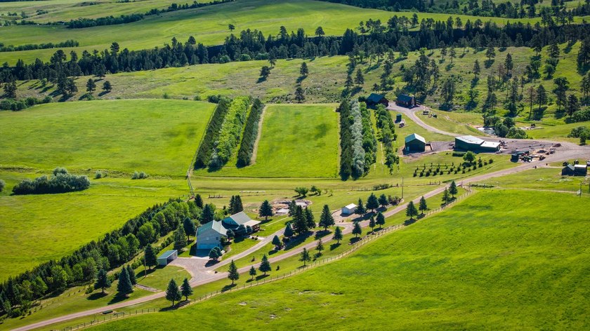 Bear Ridge Compound is a 120-acre turnkey property on Bear Ridge - photo 5