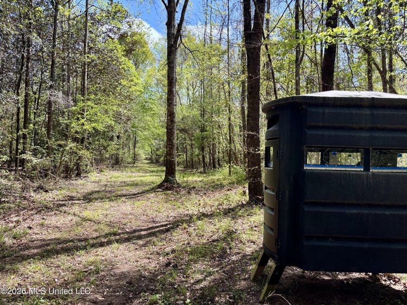 This 139 +/- acre property is located in Covington County, MS - photo 12