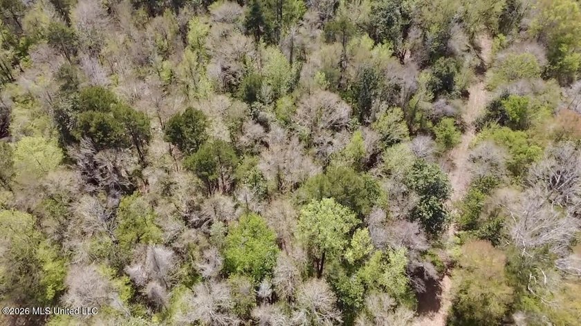 This 139 +/- acre property is located in Covington County, MS - photo 13