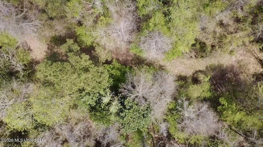 This 139 +/- acre property is located in Covington County, MS - photo 16