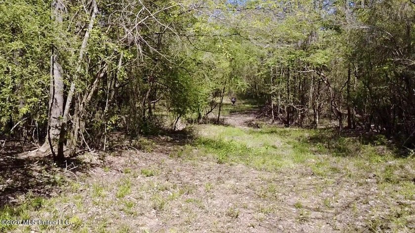 This 139 +/- acre property is located in Covington County, MS - photo 19