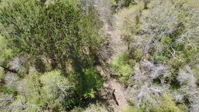 This 139 +/- acre property is located in Covington County, MS - photo 20