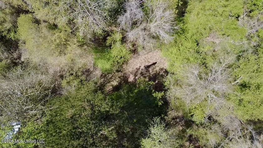 This 139 +/- acre property is located in Covington County, MS - photo 21