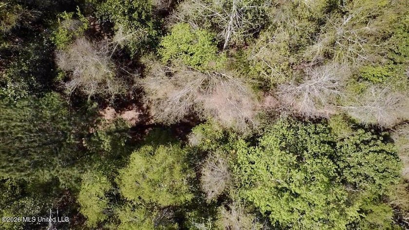 This 139 +/- acre property is located in Covington County, MS - photo 23