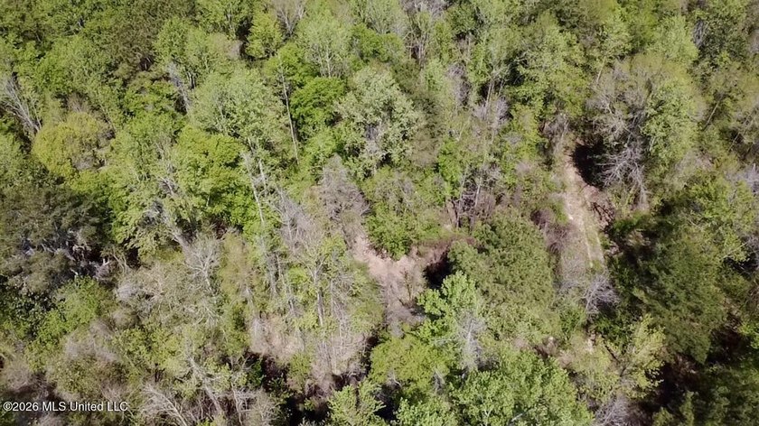 This 139 +/- acre property is located in Covington County, MS - photo 24